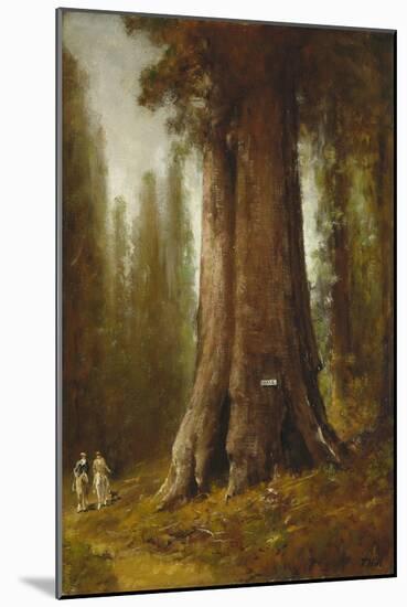 California Redwood Trees-Thomas Hill-Mounted Giclee Print