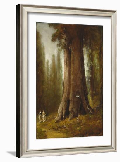 California Redwood Trees-Thomas Hill-Framed Giclee Print