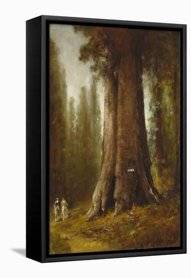 California Redwood Trees-Thomas Hill-Framed Stretched Canvas