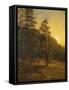 California Redwoods, 1872-Albert Bierstadt-Framed Stretched Canvas
