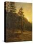 California Redwoods, 1872-Albert Bierstadt-Stretched Canvas