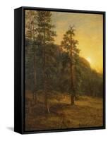 California Redwoods, 1872-Albert Bierstadt-Framed Stretched Canvas