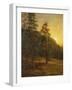 California Redwoods, 1872-Albert Bierstadt-Framed Premium Giclee Print