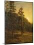 California Redwoods, 1872-Albert Bierstadt-Mounted Premium Giclee Print