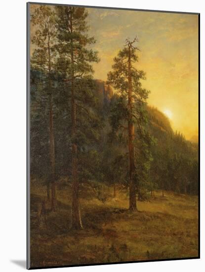 California Redwoods, 1872-Albert Bierstadt-Mounted Giclee Print