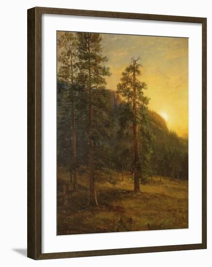 California Redwoods, 1872-Albert Bierstadt-Framed Giclee Print