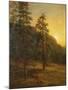 California Redwoods, 1872-Albert Bierstadt-Mounted Giclee Print