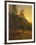 California Redwoods, 1872-Albert Bierstadt-Framed Giclee Print