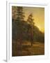 California Redwoods, 1872-Albert Bierstadt-Framed Giclee Print