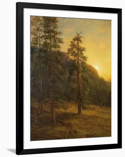 California Redwoods, 1872-Albert Bierstadt-Framed Giclee Print