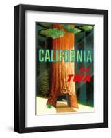 California Redwoods - TWA (Trans World Airlines)-David Klein-Framed Art Print