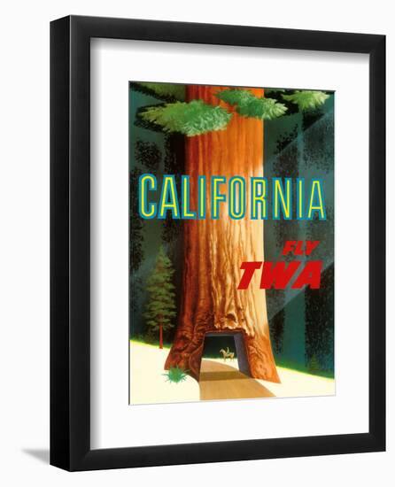 California Redwoods - TWA (Trans World Airlines)-David Klein-Framed Art Print