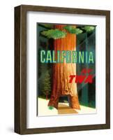 California Redwoods - TWA (Trans World Airlines)-David Klein-Framed Art Print