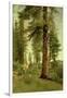 California Redwoods-Albert Bierstadt-Framed Giclee Print