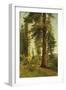 California Redwoods-Albert Bierstadt-Framed Giclee Print