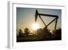 California, Sacramento River-San Joaquin Delta Area, Jersey Island-Alison Jones-Framed Photographic Print