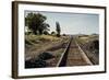 California, Sacramento River-San Joaquin Delta Area, Mcavoy Harbor-Alison Jones-Framed Photographic Print