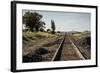 California, Sacramento River-San Joaquin Delta Area, Mcavoy Harbor-Alison Jones-Framed Photographic Print