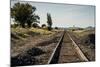 California, Sacramento River-San Joaquin Delta Area, Mcavoy Harbor-Alison Jones-Mounted Photographic Print