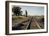 California, Sacramento River-San Joaquin Delta Area, Mcavoy Harbor-Alison Jones-Framed Photographic Print