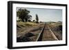 California, Sacramento River-San Joaquin Delta Area, Mcavoy Harbor-Alison Jones-Framed Photographic Print