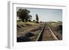 California, Sacramento River-San Joaquin Delta Area, Mcavoy Harbor-Alison Jones-Framed Photographic Print