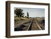 California, Sacramento River-San Joaquin Delta Area, Mcavoy Harbor-Alison Jones-Framed Photographic Print