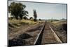 California, Sacramento River-San Joaquin Delta Area, Mcavoy Harbor-Alison Jones-Mounted Photographic Print