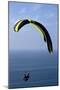 California, San Diego. Hang Glider Flying at Torrey Pines Gliderport-Steve Ross-Mounted Photographic Print