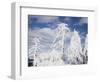 California, San Diego, Rancho Cuyamaca Sp, Snow Covered Tree-Christopher Talbot Frank-Framed Photographic Print