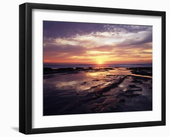 California, San Diego, Sunset Cliffs, Sunset over the Tide Pools-Christopher Talbot Frank-Framed Premium Photographic Print