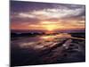 California, San Diego, Sunset Cliffs, Sunset over the Tide Pools-Christopher Talbot Frank-Mounted Premium Photographic Print