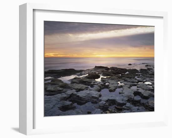 California, San Diego, Sunset Cliffs, Sunset over Tide Pools-Christopher Talbot Frank-Framed Premium Photographic Print