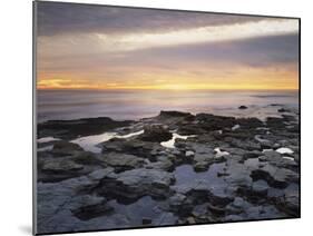 California, San Diego, Sunset Cliffs, Sunset over Tide Pools-Christopher Talbot Frank-Mounted Premium Photographic Print