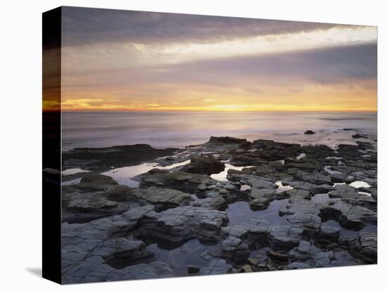 California, San Diego, Sunset Cliffs, Sunset over Tide Pools-Christopher Talbot Frank-Stretched Canvas