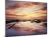 California, San Diego, Sunset Cliffs, Sunset Reflecting in a Tide Pool-Christopher Talbot Frank-Mounted Premium Photographic Print