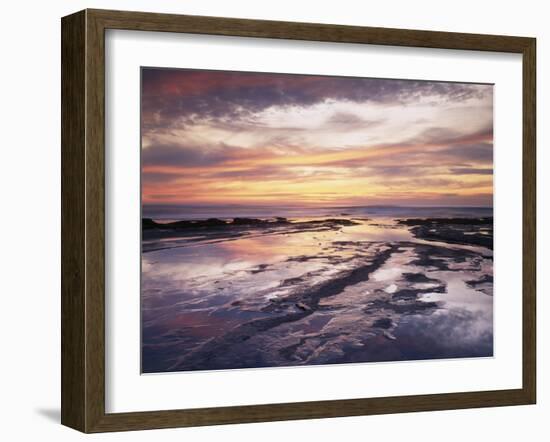 California, San Diego, Sunset Cliffs, Sunset Reflecting in Tide Pools-Christopher Talbot Frank-Framed Premium Photographic Print