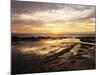 California, San Diego, Sunset Cliffs, Sunset Reflecting in Tide Pools-Christopher Talbot Frank-Mounted Photographic Print