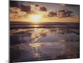 California, San Diego, Sunset Cliffs, Sunset Reflecting in Tide Pools-Christopher Talbot Frank-Mounted Premium Photographic Print