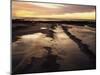California, San Diego, Sunset Cliffs, Sunset Reflecting in Tide Pools-Christopher Talbot Frank-Mounted Premium Photographic Print