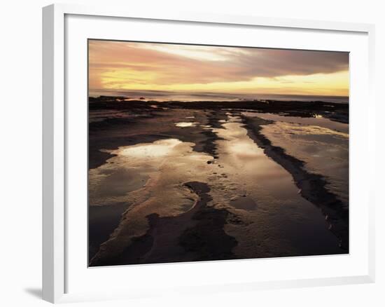 California, San Diego, Sunset Cliffs, Sunset Reflecting in Tide Pools-Christopher Talbot Frank-Framed Photographic Print