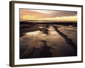 California, San Diego, Sunset Cliffs, Sunset Reflecting in Tide Pools-Christopher Talbot Frank-Framed Photographic Print