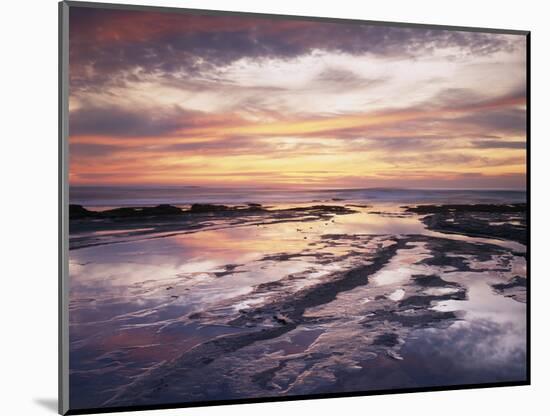 California, San Diego, Sunset Cliffs, Sunset Reflecting in Tide Pools-Christopher Talbot Frank-Mounted Photographic Print