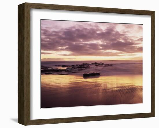 California, San Diego, Sunset Cliffs, Sunset Reflecting on a Beach-Christopher Talbot Frank-Framed Premium Photographic Print