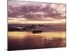 California, San Diego, Sunset Cliffs, Sunset Reflecting on a Beach-Christopher Talbot Frank-Mounted Photographic Print