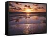 California, San Diego, Sunset Cliffs, Sunset Reflecting on a Beach-Christopher Talbot Frank-Framed Stretched Canvas