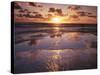 California, San Diego, Sunset Cliffs, Sunset Reflecting on a Beach-Christopher Talbot Frank-Stretched Canvas