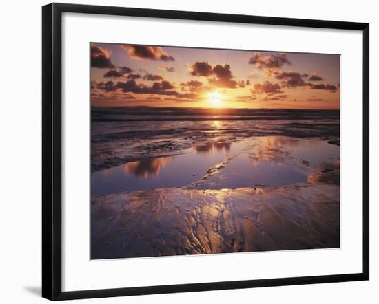 California, San Diego, Sunset Cliffs, Sunset Reflecting on a Beach-Christopher Talbot Frank-Framed Photographic Print