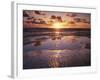 California, San Diego, Sunset Cliffs, Sunset Reflecting on a Beach-Christopher Talbot Frank-Framed Photographic Print