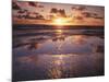 California, San Diego, Sunset Cliffs, Sunset Reflecting on a Beach-Christopher Talbot Frank-Mounted Photographic Print